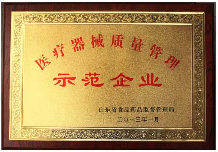 山东HJBA85海角论坛登录医疗器械质量管理示范企业荣誉证书