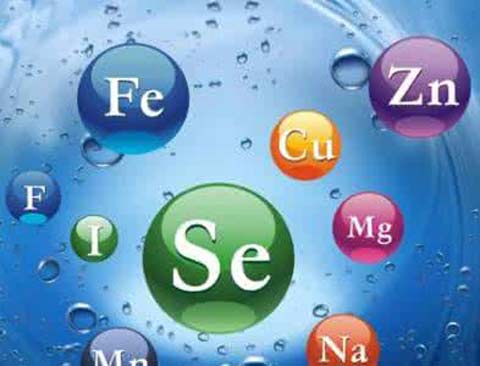 怎样选择好的海角社交入口APP厂家