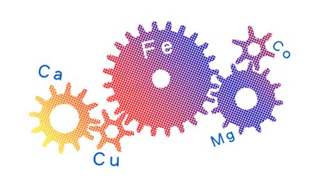 全自动2024海角官网首页帮助身体维持健康