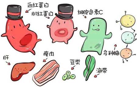 海角社交入口APP厂家分析元素之间的协同作用