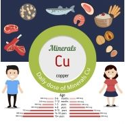 全自动2024海角官网首页可以检测铜元素