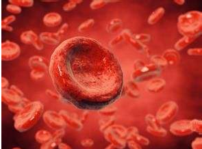 血液海角社交入口APP厂家哪家好？