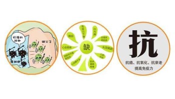 海角社交入口APP厂家分析哪些微量元素能防癌