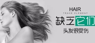 海角社交入口APP价格谈头发需要什么微量元素