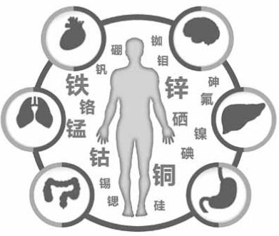 医用2024海角官网首页为HJBA85海角论坛登录的健康提供了保障