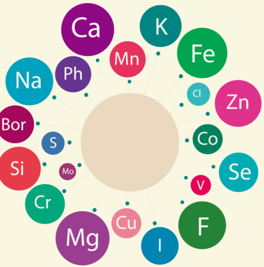 海角社交入口APP品牌介绍微量元素欠缺会导致哪些皮肤病？