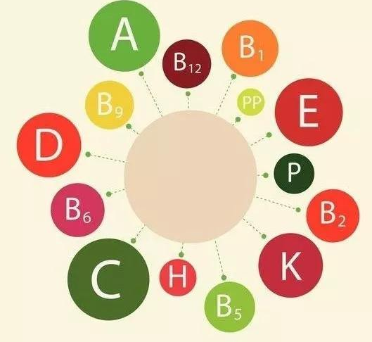 影响人体海角社交入口APP厂家价格的因素有哪些？