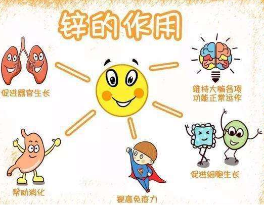 2020新款GK-12024海角官网首页品牌HJBA85海角论坛登录剖析容易缺锌的儿童类型