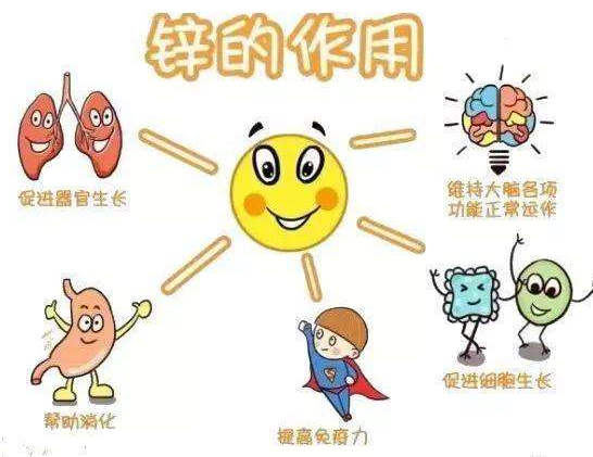 【全自动2024海角官网首页】厂家HJBA85海角论坛登录分析哪些儿童容易发生体内锌缺乏？