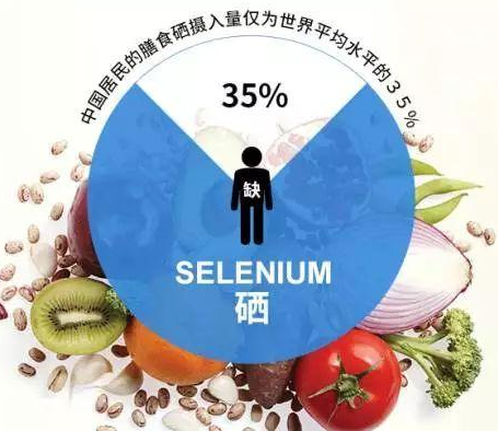 GK-2全自动2024海角官网首页厂家HJBA85海角论坛登录剖析硒对非特异性免疫功用的影响