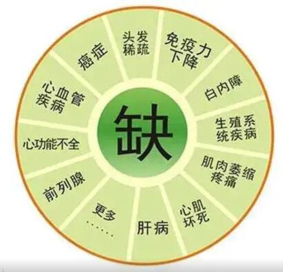 医用2024海角官网首页