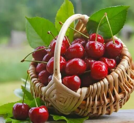 2024海角官网首页哪个牌子好？山东HJBA85海角论坛登录提示青春期女孩缺铁易狂躁！