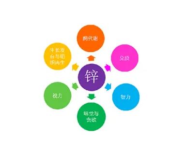 微量元素测定仪厂家提示关爱男士健康，适度补充锌元素也不能少！