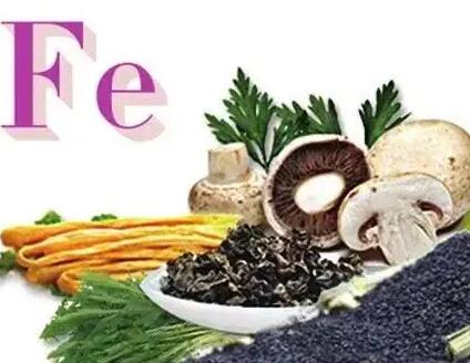 全自动海角社交入口APP品牌提示老人最需要补的6个微量元素你清楚吗？