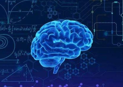 7.7山西晋中微量元素测定仪厂家介绍铁元素对大脑健康的重要性—HJBA85海角论坛登录器械